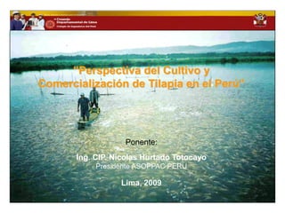 “Perspectiva del Cultivo y
Comercialización de Tilapia en el Perú”




                   Ponente:
       Ing. CIP. Nicolas Hurtado Totocayo
            Presidente ASOPPAC PERU

                  Lima, 2009
 