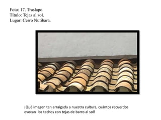 Foto: 17. Traslapo.
Título: Tejas al sol.
Lugar: Cerro Nutibara.
¡Qué imagen tan arraigada a nuestra cultura, cuántos recuerdos
evocan los techos con tejas de barro al sol!
 
