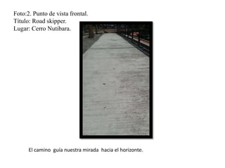 Foto:2. Punto de vista frontal.
Título: Road skipper.
Lugar: Cerro Nutibara.
El camino guía nuestra mirada hacia el horizonte.
 