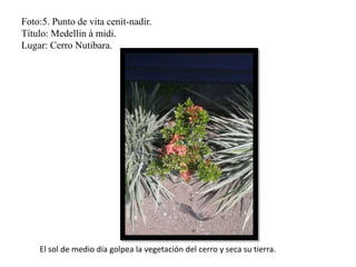 Foto:5. Punto de vita cenit-nadir.
Título: Medellin à midi.
Lugar: Cerro Nutibara.
El sol de medio día golpea la vegetación del cerro y seca su tierra.
 