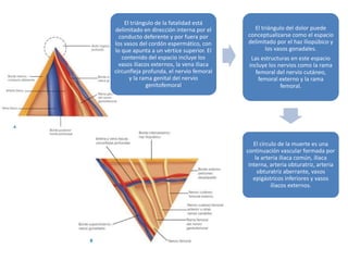 El triángulo de la fatalidad está
delimitado en dirección interna por el
conducto deferente y por fuera por
los vasos del cordón espermático, con
lo que apunta a un vértice superior. El
contenido del espacio incluye los
vasos iliacos externos, la vena iliaca
circunfleja profunda, el nervio femoral
y la rama genital del nervio
genitofemoral
El triángulo del dolor puede
conceptualizarse como el espacio
delimitado por el haz iliopúbico y
los vasos gonadales.
Las estructuras en este espacio
incluye los nervios como la rama
femoral del nervio cutáneo,
femoral externo y la rama
femoral.
El círculo de la muerte es una
continuación vascular formada por
la arteria iliaca común, iliaca
interna, arteria obturatriz, arteria
obturatriz aberrante, vasos
epigástricos inferiores y vasos
iliacos externos.
 