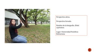 Perspectiva aérea. 
Perspectiva forzada. 
Nombre de la fotografía: Árbol 
cayéndose. 
Lugar: Universidad Pontificia 
Bolivariana 
 