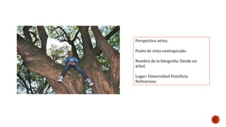 Perspectiva aérea. 
Punto de vista contrapicado. 
Nombre de la fotografía: Desde un 
árbol. 
Lugar: Universidad Pontificia 
Bolivariana 
 