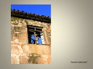 “Janela Indiscreta”