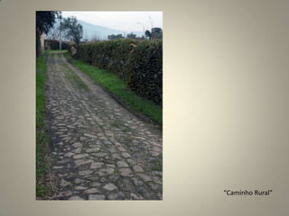 “Caminho Rural”