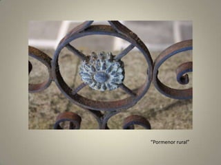 “Pormenor rural”