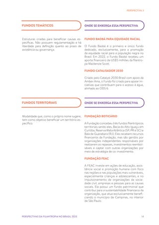 14
FUNDO BAOBÁ PARA EQUIDADE RACIAL
O Fundo Baobá é o primeiro e único fundo
dedicado, exclusivamente, para a promoção
da equidade racial para a população negra no
Brasil. Em 2022, o Fundo Baobá recebeu um
aporte financeiro de US$5 milhões da filantro-
pa Mackenzie Scott.
FUNDO CATALISADOR 2030
Criado pelo Catalyst 2030 Brasil com apoio da
Ambev Ama, o Fundo foi criado para apoiar ini-
ciativas que contribuem para o acesso à água,
alinhado ao ODS 6.
PERSPECTIVA 3
PERSPECTIVAS DA FILANTROPIA NO BRASIL 2023
ONDE SE ENXERGA ESSA PERSPECTIVA
FUNDOS TEMÁTICOS
Estruturas criadas para beneficiar causas es-
pecíficas. Não possuem regulamentação e há
liberdade para definição quanto ao prazo de
existência ou governança.
FUNDAÇÃO BOTICÁRIO
A Fundação concebeu três fundos filantrópicos
territoriais sendo eles, Bacia do Alto Iguaçu em
Curitiba, Reserva Mata Atlântica (SP, PR e SC) e
Baía de Guanabara (RJ). Eles recebem recursos
financeiros da Fundação, mas são geridos por
organizações independentes responsáveis por
realizarem os repasses, investimentos reembol-
sáveis e captar com outras organizações por
meio de estratégia de co-investimento.
FUNDAÇÃO FEAC
A FEAC investe em ações de educação, assis-
tência social e promoção humana com foco
nas regiões e nas populações mais vulneráveis,
especialmente crianças e adolescentes, e no
impulsionamento de organizações da socie-
dade civil, empresas e pessoas para as causas
sociais. Ela possui um fundo patrimonial que
contribui para a sustentabilidade financeira da
organização, que atua exclusivamente benefi-
ciando o município de Campinas, no interior
de São Paulo.
ONDE SE ENXERGA ESSA PERSPECTIVA
FUNDOS TERRITORIAIS
Modalidade que, como o próprio nome sugere,
tem como objetivo beneficiar um território es-
pecífico.
 