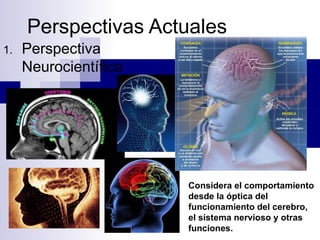 Perspectivas Actuales
1.   Perspectiva
     Neurocientífica




                       Considera el comportamiento
                       desde la óptica del
                       funcionamiento del cerebro,
                       el sistema nervioso y otras
                       funciones.
 