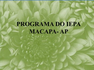 PROGRAMA DO IEPA
   MACAPA- AP
 