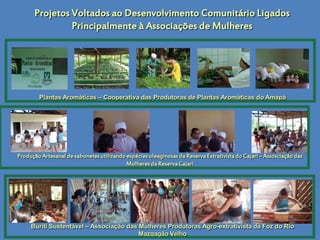 Projetos Voltados ao Desenvolvimento Comunitário Ligados
               Principalmente à Associações de Mulheres




        Plantas Aromáticas – Cooperativa das Produtoras de Plantas Aromáticas do Amapá




Produção Artesanal de sabonetes utilizando espécies oleaginosas da Reserva Extrativista do Cajari – Assosciação das
                                           Mulheres da Reserva Cajari




     Buriti Sustentável – Associação das Mulheres Produtoras Agro-extrativista da Foz do Rio
                                         Mazqagão Velho
 