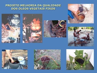 PROJETO MELHORIA DA QUALIDADE
   DOS ÓLEOS VEGETAIS FIXOS
 