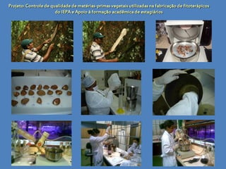 Projeto: Controle de qualidade de matérias-primas vegetais utilizadas na fabricação de fitoterápicos
                       do IEPA e Apoio à formação acadêmica de estagiários
 