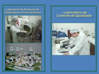 - Laboratório de Produção de
Fitoterápicos e Fitocosméticos     - Laboratório de
                                 Controle de Qualidade
 