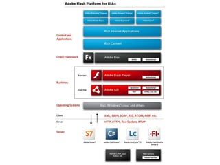 Perspectivas De Desenvolvimento Para Web