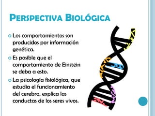 Perspectiva BiológicaLos comportamientos son producidos por información genética.Es posible que el comportamiento de Einstein se deba a esto.La psicología fisiológica, que estudia el funcionamiento del cerebro, explica las conductas de los seres vivos.