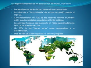 Un diagnóstico reciente de los ecosistemas del mundo, indica que:
• Los ecosistemas están siendo presionados excesivamente.
• La mitad de la “tierra húmeda” del mundo se perdió durante el
siglo 20.
• Aproximadamente, un 70% de las reservas marinas mundiales
están siendo explotadas, excediendo el límite biológico.
• La actividad humana está poniendo en riesgo aproximadamente
60% de los arrecifes de coral.
• Un 20% de las “tierras secas” están acercándose a la
desertificación.
• Más de 40% de la tierra agrícola ha sido muy degrada.
 