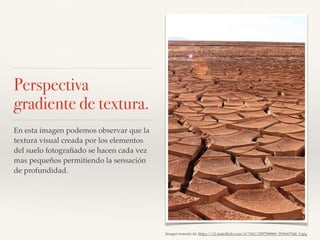 Perspectiva
gradiente de textura.
En esta imagen podemos observar que la
textura visual creada por los elementos
del suelo fotograﬁado se hacen cada vez
mas pequeños permitiendo la sensación
de profundidad.
Imagen tomada de: https://c2.staticﬂickr.com/4/3163/2297308960_f935e675d6_b.jpg
 