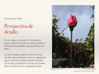 Lorem Ipsum Dolor
Perspectiva de
detalle.
En los objetos colocados o situados a
mayor distancia de los cercanos tienden a
disminuir los detalles que percibimos en
ellos.
En esta imagen podemos observar con
detalles bien deﬁnidos, pero la vegetación
que se encuentra detrás pierde detalles,
por lo que percibimos a la rosa en primer
plano y el resto de la vegetación atrás.
Imagen: Rosa. Elí García Sánchez. 2016.
 