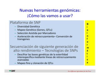 Perspectivas genomica arroz