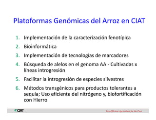 Perspectivas genomica arroz