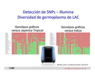 Perspectivas genomica arroz