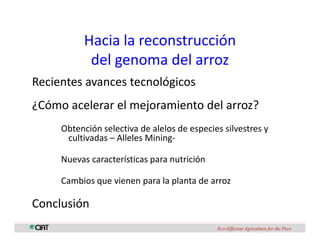 Perspectivas genomica arroz