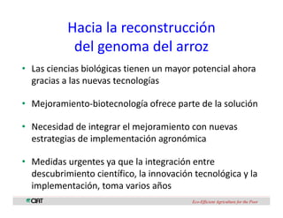 Perspectivas genomica arroz