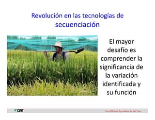 Perspectivas genomica arroz