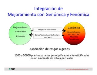 Perspectivas genomica arroz