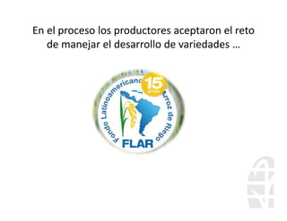 Perspectivas hibridos arroz_lac