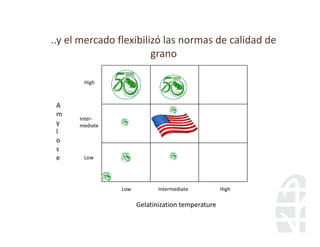 Perspectivas hibridos arroz_lac