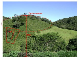 50m
Terço superior
>45°
 