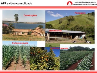 APPs - Uso consolidado
Construções
Benfeitorias
Pastagens
Culturas anuais
Culturas perenes
 