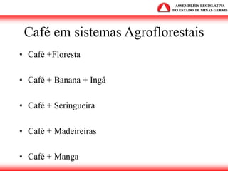 Café em sistemas Agroflorestais
• Café +Floresta
• Café + Banana + Ingá
• Café + Seringueira
• Café + Madeireiras
• Café + Manga
 