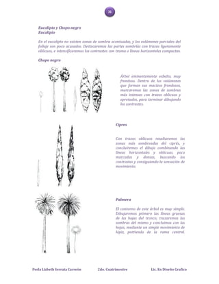 31



   Eucalipto y Chopo negro
   Eucalipto

   En el eucalipto no existen zonas de sombra acentuadas, y los volúmenes parciales del
   follaje son poco acusados. Destacaremos las partes sombrías con trazos ligeramente
   oblicuos, e intensificaremos los contrastes con trama o líneas horizontales compactas.

   Chopo negro



                                                    Árbol eminentemente esbelto, muy
                                                    frondoso. Dentro de los volúmenes
                                                    que forman sus macizos frondosos,
                                                    marcaremos las zonas de sombras
                                                    más intensas con trazos oblicuos y
                                                    apretados, para terminar dibujando
                                                    los contrastes.




                                                  Cipres


                                                  Con trazos oblicuos resaltaremos las
                                                  zonas más sombreadas del ciprés, y
                                                  concluiremos el dibujo combinando las
                                                  líneas horizontales y oblicuas, poco
                                                  marcadas y densas, buscando los
                                                  contrastes y consiguiendo la sensación de
                                                  movimiento.




                                                  Palmera

                                                  El contorno de este árbol es muy simple.
                                                  Dibujaremos primero las líneas gruesas
                                                  de las hojas del tronco; trazaremos las
                                                  sombras del mismo y concluimos con las
                                                  hojas, mediante un simple movimiento de
                                                  lápiz, partiendo de la rama central.




Perla Lizbeth Serrata Carreón         2do. Cuatrimestre                Lic. En Diseño Grafico
 