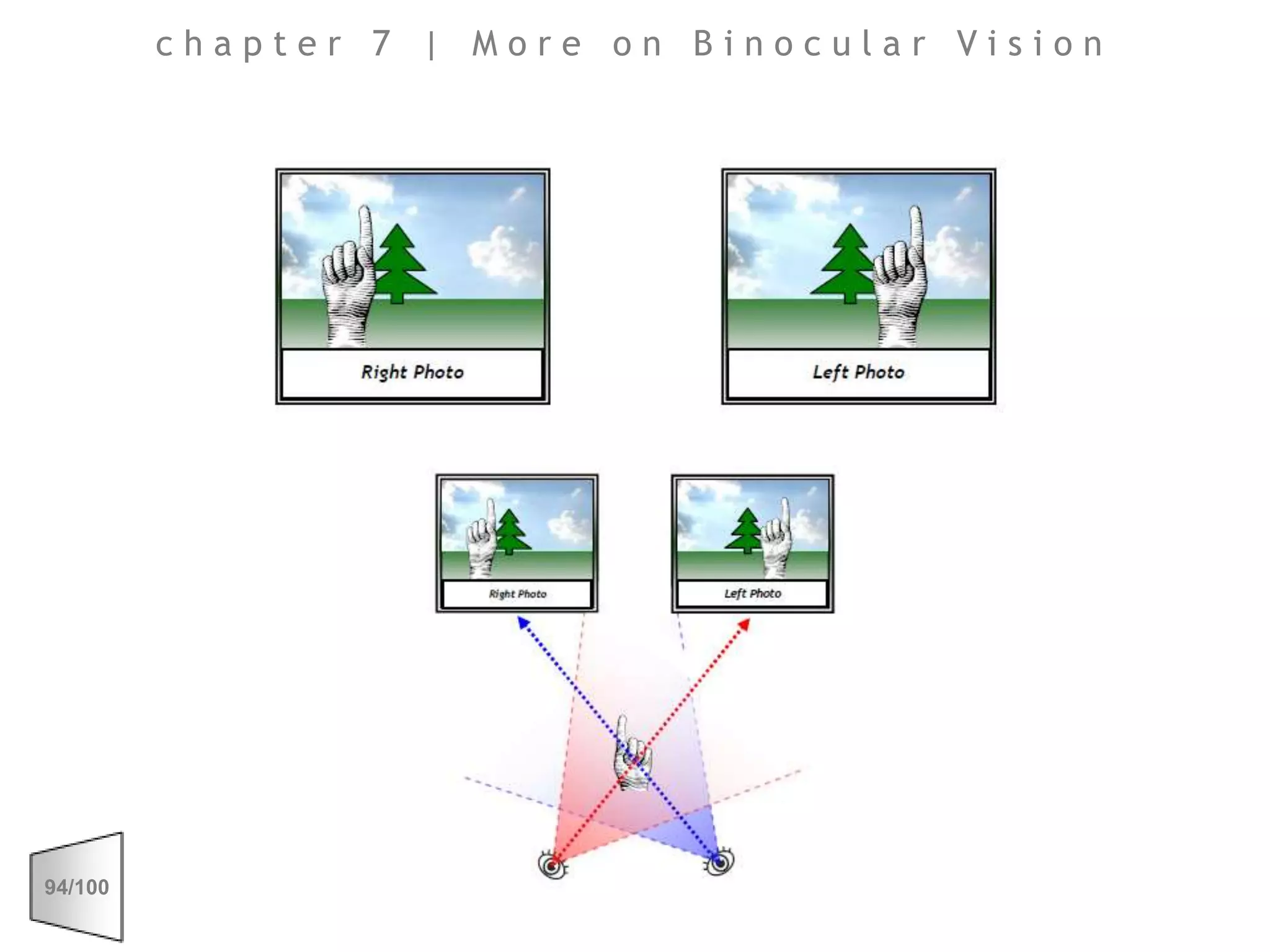 chapter 7 | More on Binocular Vision