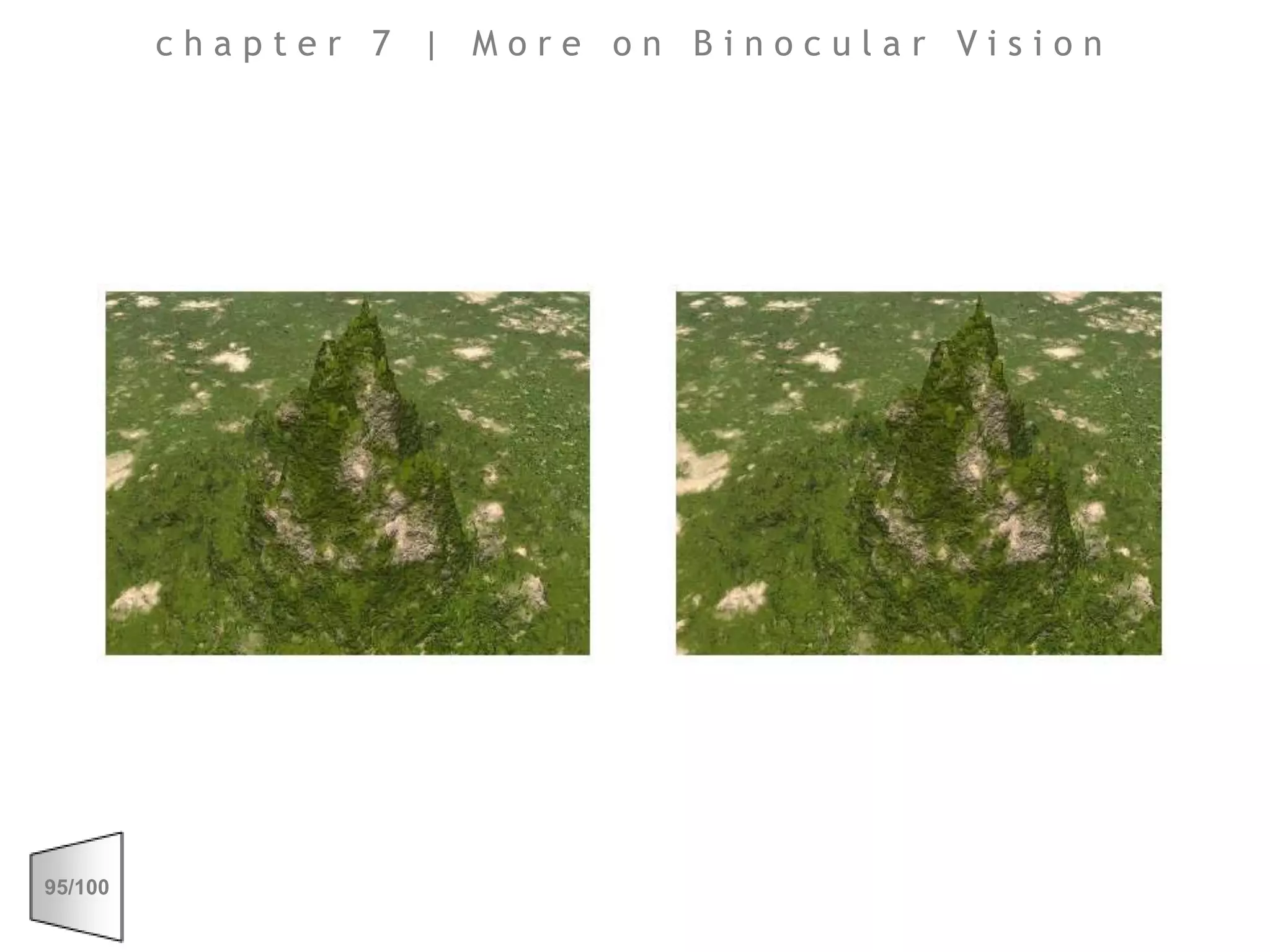 chapter 7 | More on Binocular Vision