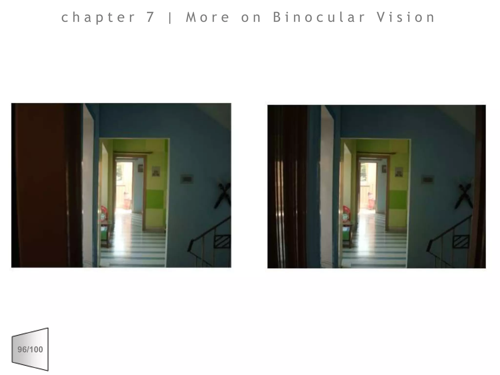 chapter 7 | More on Binocular Vision