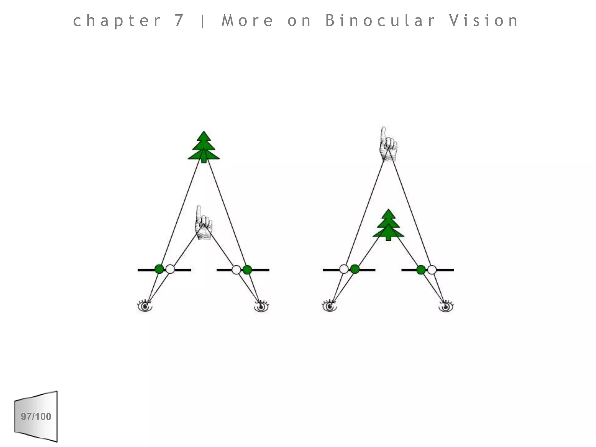 chapter 7 | More on Binocular Vision