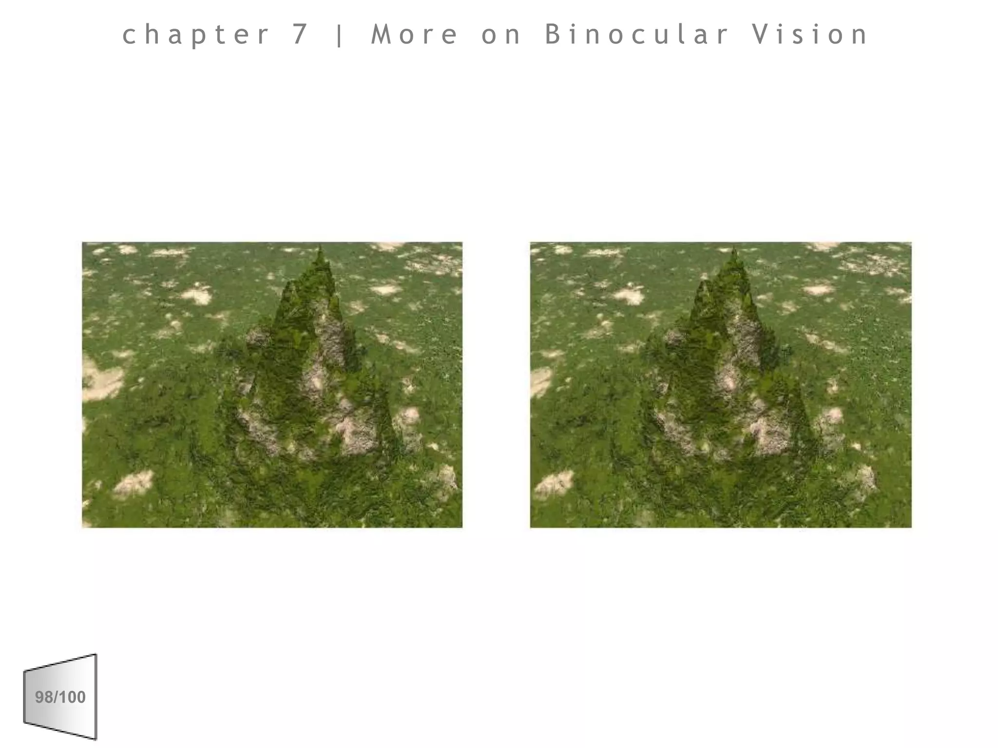 chapter 7 | More on Binocular Vision