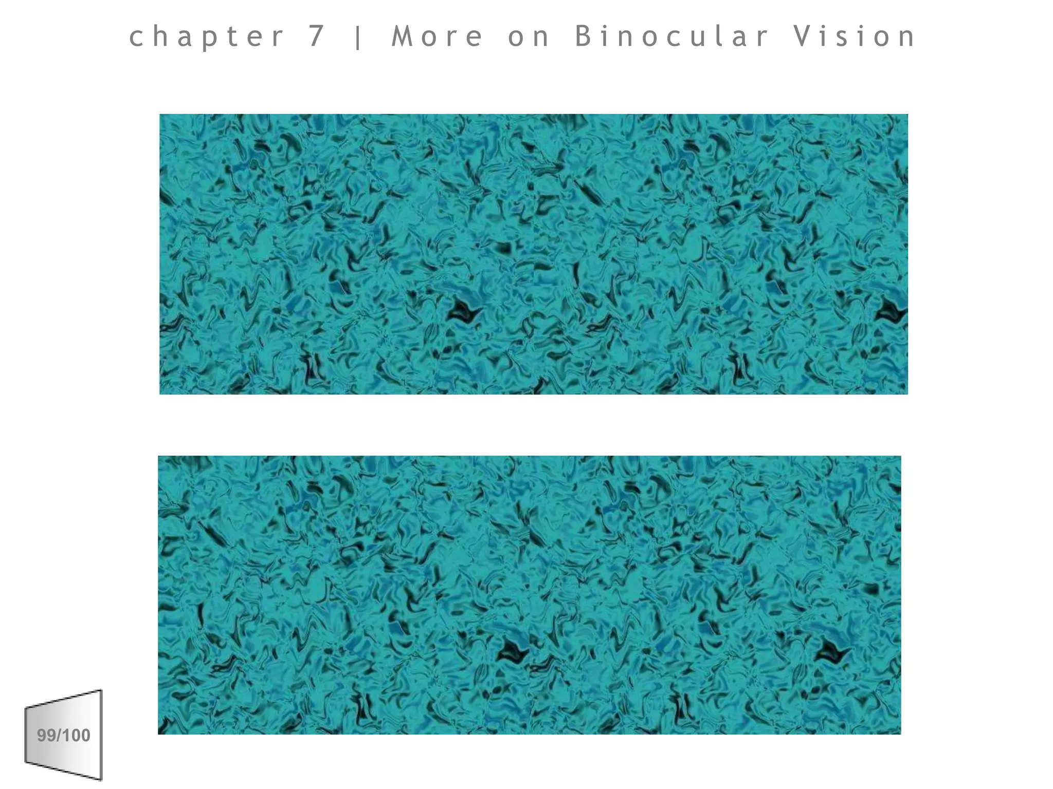 chapter 7 | More on Binocular Vision