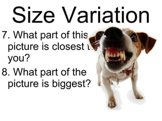 Size Variation 7. What part of this picture is closest to you? 8. What part of the picture is biggest? 