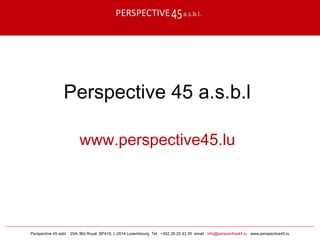 Perspective 45 asbl 25A, Bld Royal, BP418, L-2014 Luxembourg Tel : +352.26 20 43 45 email : info@perspective45.lu www.perspective45.lu
Perspective 45 a.s.b.l
www.perspective45.lu
 