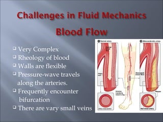  Very Complex
 Rheology of blood
 Walls are flexible
 Pressure-wave travels
along the arteries.
 Frequently encounter
bifurcation
 There are vary small veins
 