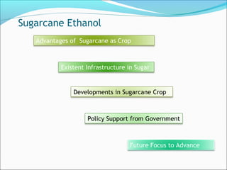 Sugarcane Ethanol
Advantages of Sugarcane as Crop
Existent Infrastructure in Sugar
Developments in Sugarcane Crop
Policy Support from Government
Future Focus to Advance
 