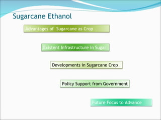 Sugarcane Ethanol Advantages of  Sugarcane as Crop Existent Infrastructure in Sugar  Developments in Sugarcane Crop  Policy Support from Government Future Focus to Advance 