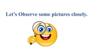Let’s Observe some pictures closely.
 