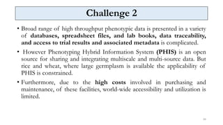 Perspectives and Challenges of Phenotyping in Crop Improvement. - Copy.pptx