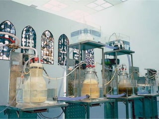 Perspectives antibioresistance final