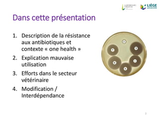 Perspectives antibioresistance final